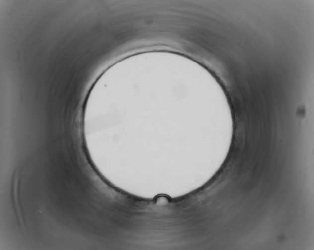 X0000101431516200808041139