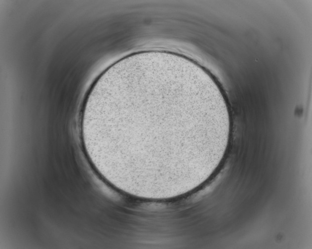 X0000101431517200808041139