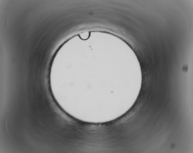 X0000101431518200808041139