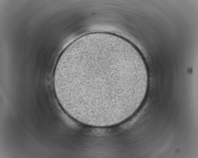 X0000101431521200808041139