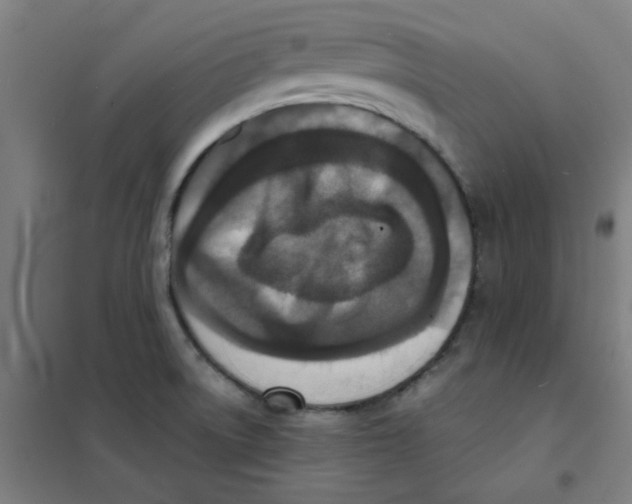 X0000101431522200808041139