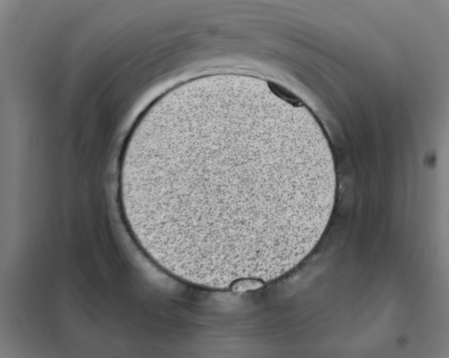 X0000101431523200808041139