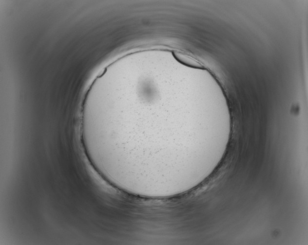 X0000101431524200808041139