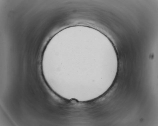 X0000101431525200808041139