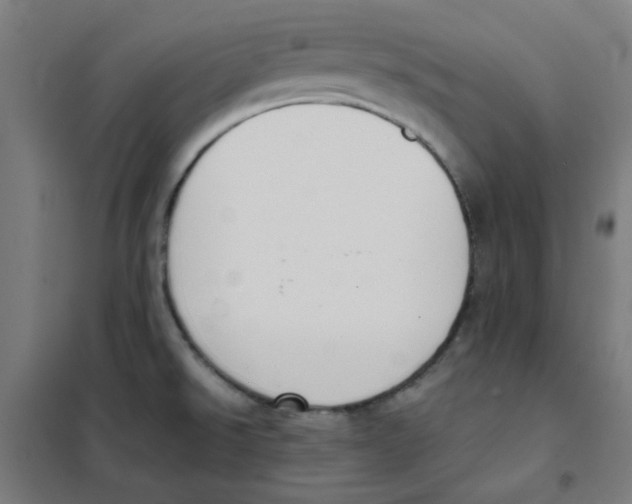 X0000101431526200808041139