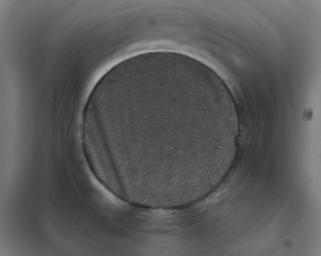 X0000101431527200808041140