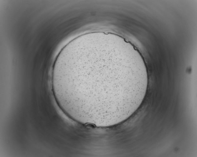 X0000101431528200808041140