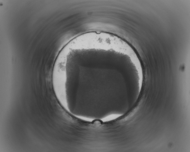 X0000101431529200808041140