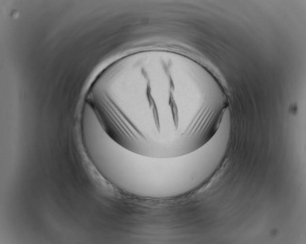 X0000101431530200808041140