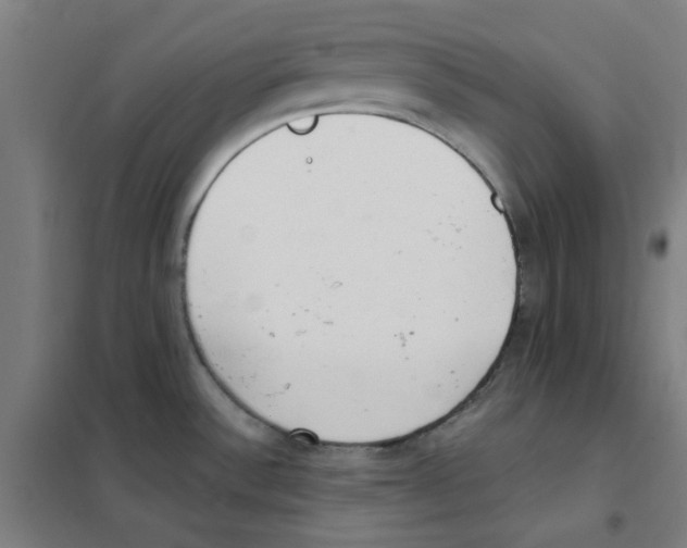 X0000101431532200808041140