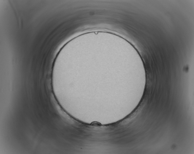 X0000101431534200808041140