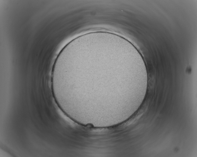 X0000101431535200808041140