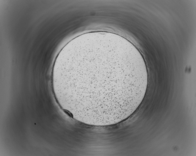 X0000101431536200808041140