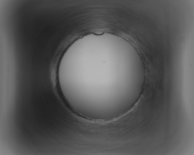 X0000101440002200807071036