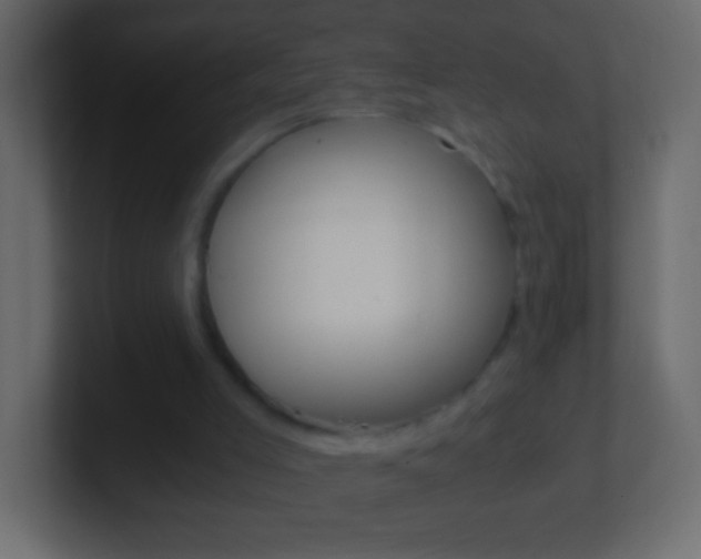 X0000101440005200807071036