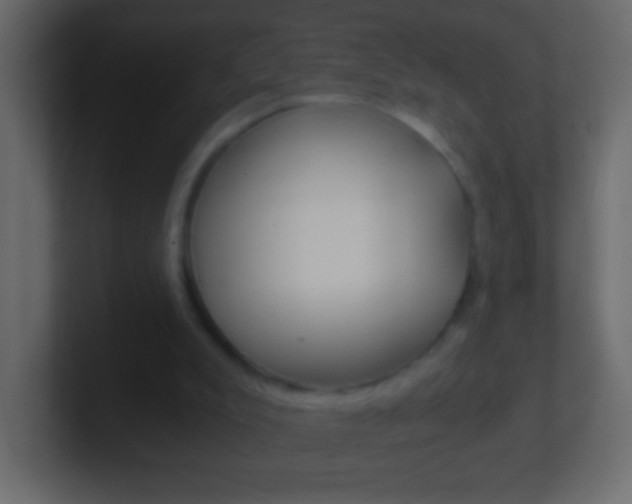 X0000101440007200807071036