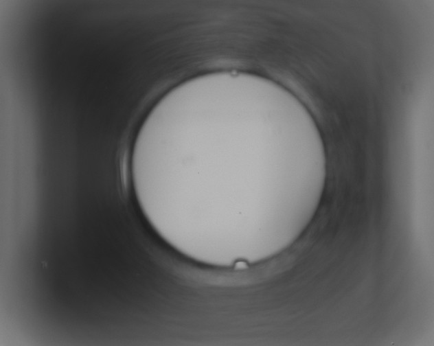 X0000101440011200807071036