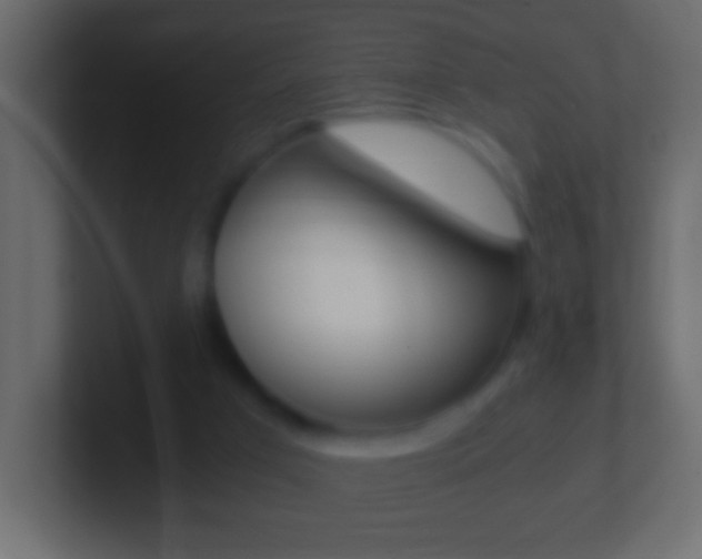 X0000101440017200807071036