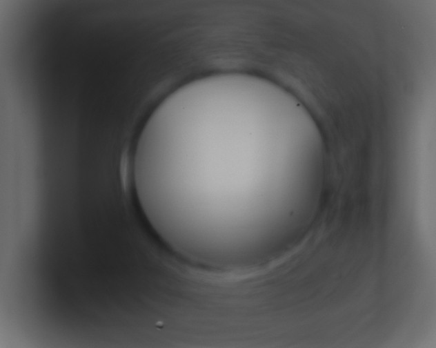 X0000101440019200807071036