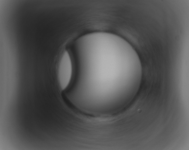 X0000101440020200807071036