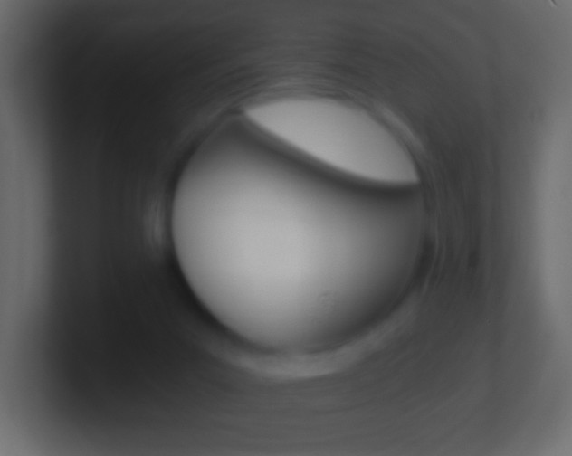 X0000101440023200807071036