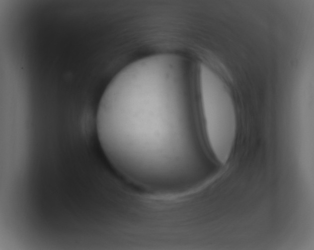 X0000101440025200807071036
