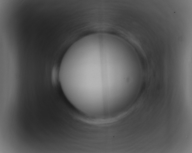 X0000101440027200807071036