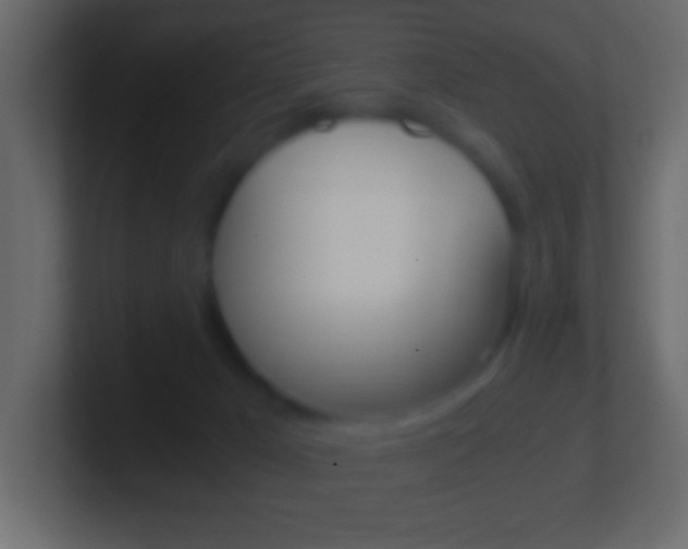 X0000101440029200807071036