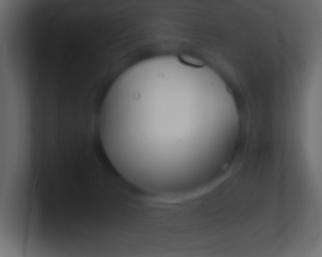 X0000101440033200807071036