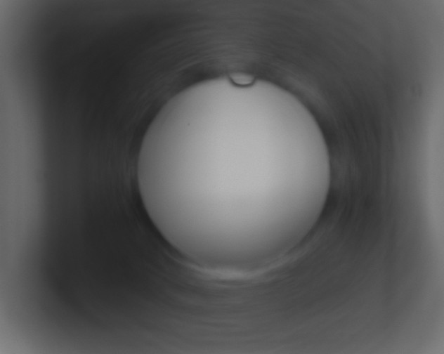 X0000101440034200807071036
