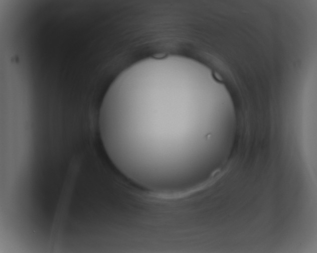 X0000101440037200807071036
