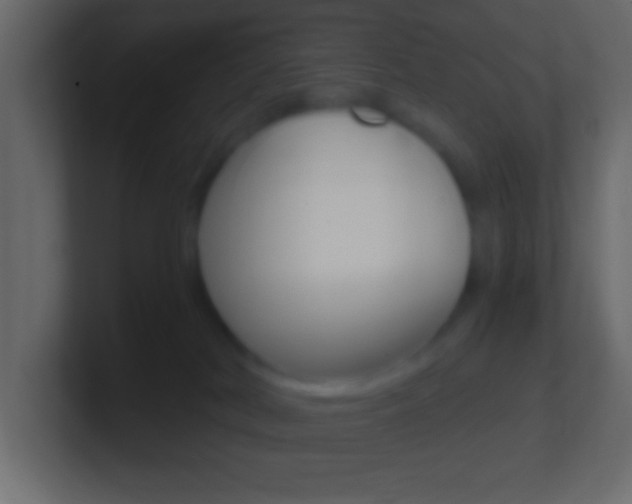 X0000101440038200807071036