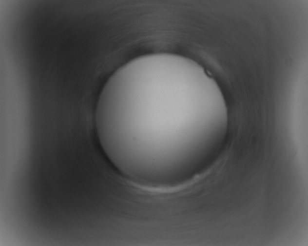 X0000101440039200807071036