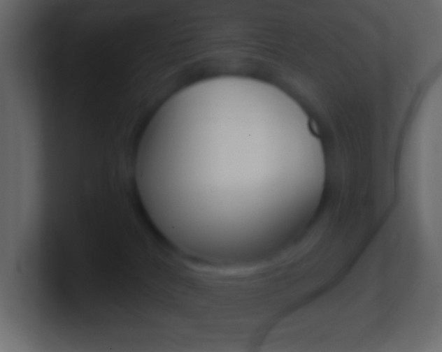 X0000101440040200807071036