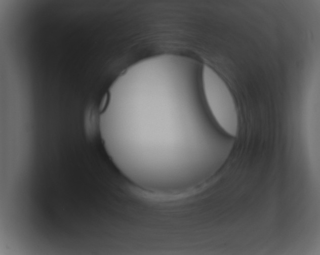 X0000101440042200807071036
