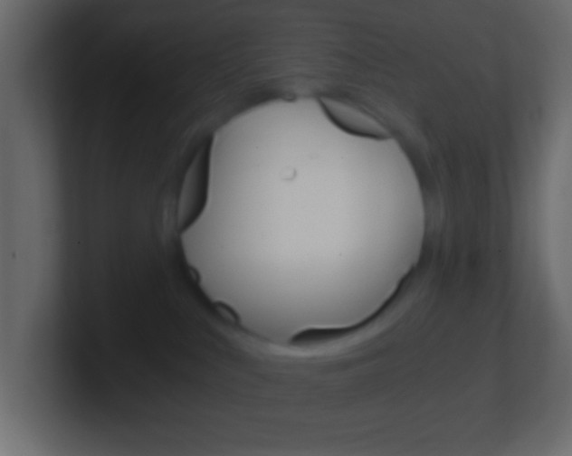 X0000101440043200807071036