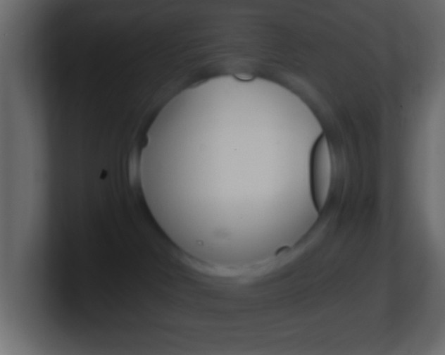 X0000101440046200807071036