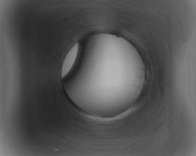X0000101440048200807071036