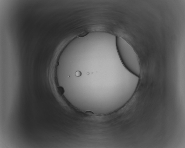 X0000101440049200807071035