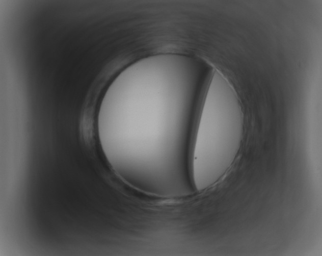X0000101440050200807071035