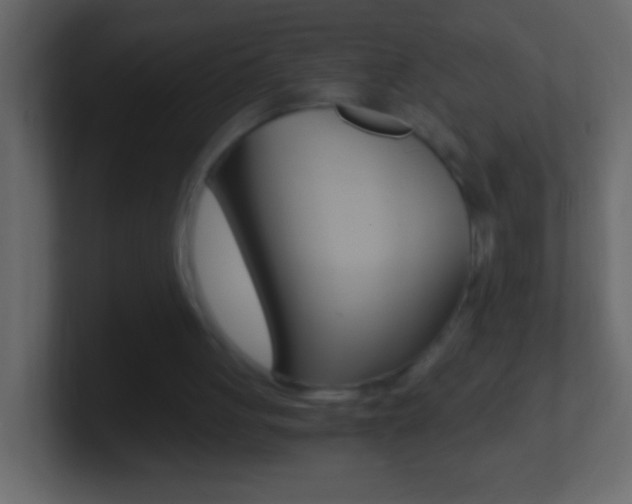 X0000101440051200807071035