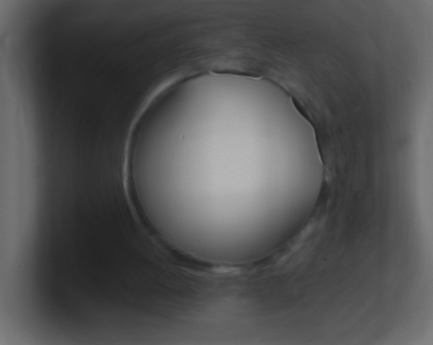 X0000101440052200807071035