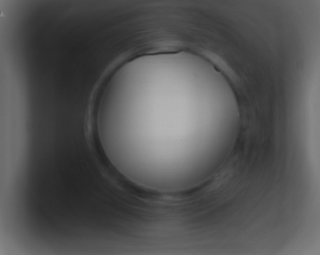 X0000101440060200807071035