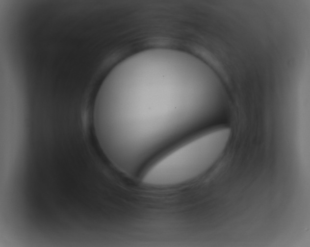 X0000101440063200807071035