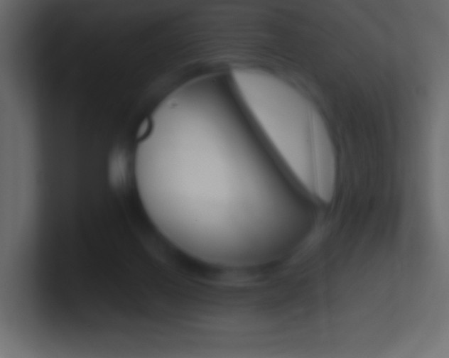 X0000101440070200807071035