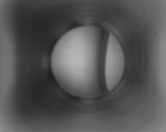 X0000101440073200807071035