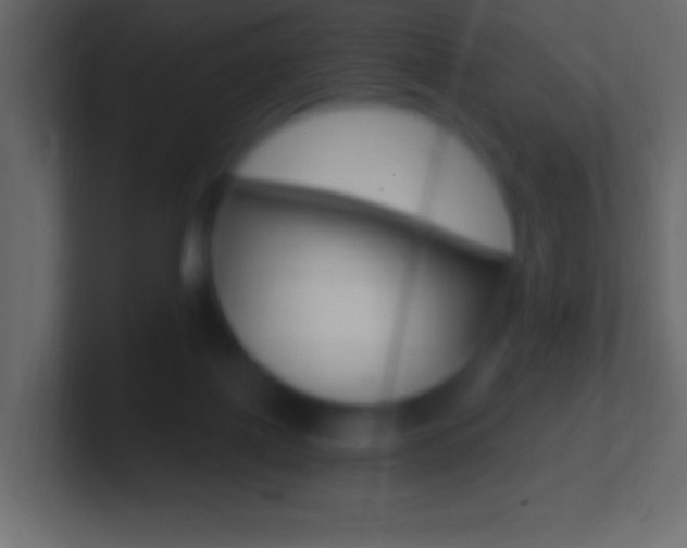 X0000101440075200807071035