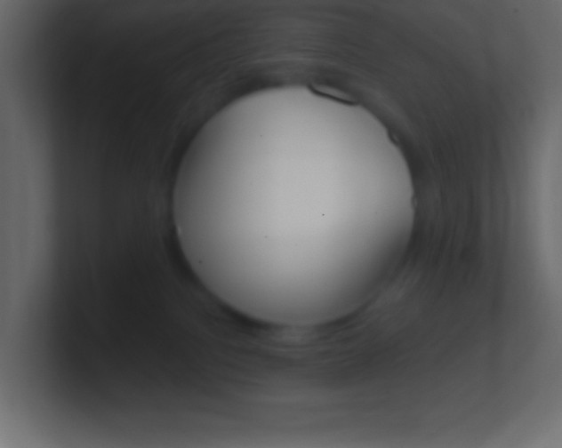 X0000101440088200807071036
