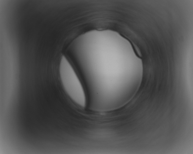 X0000101440091200807071036