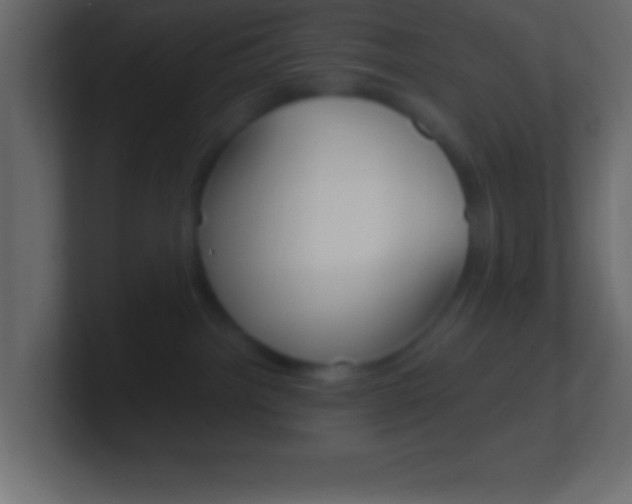 X0000101440092200807071036